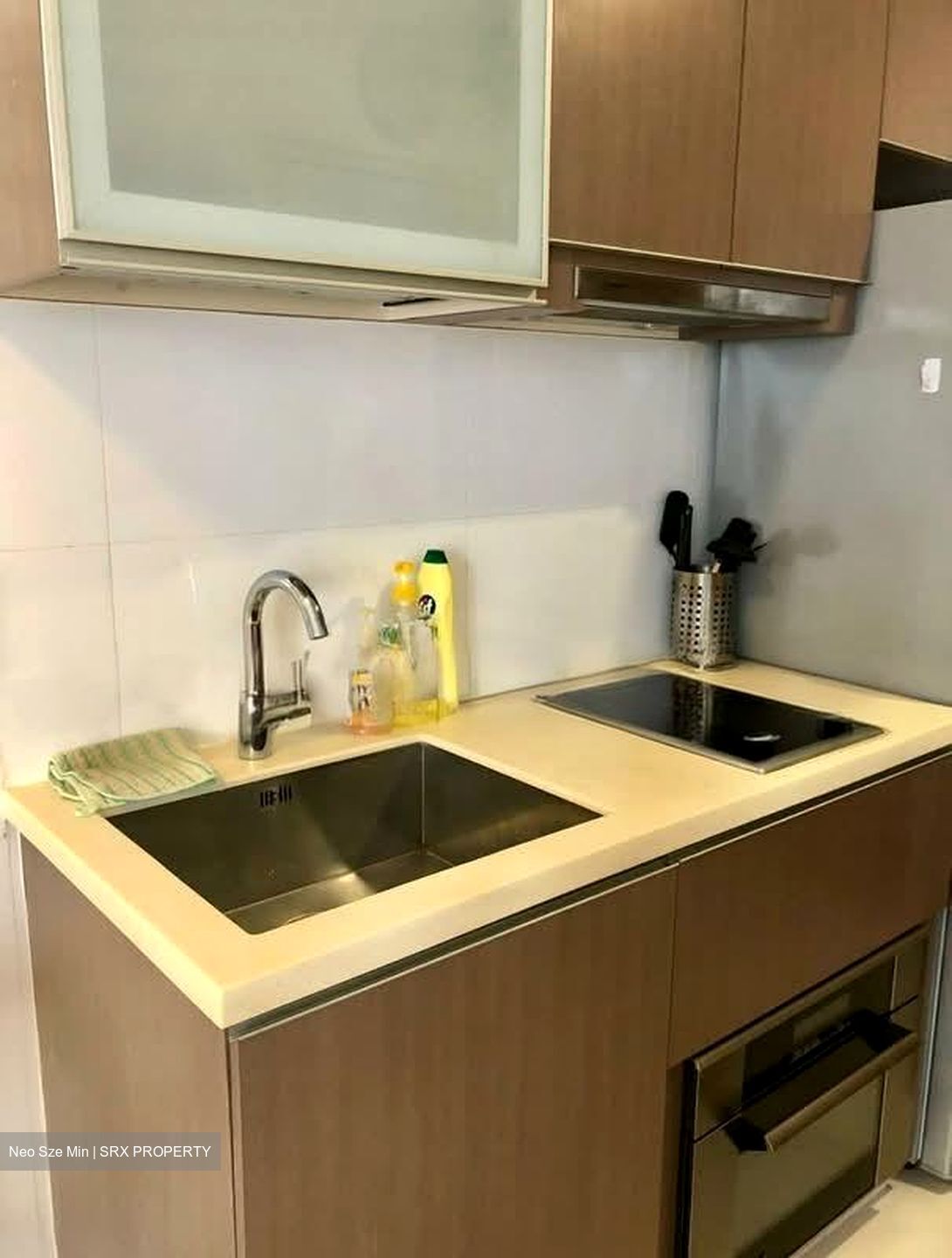 Mount Sophia Suites (D9), Apartment #537835121